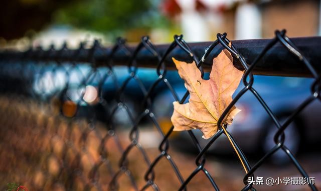 适马24mm1.8单反镜头,适马大光圈定价