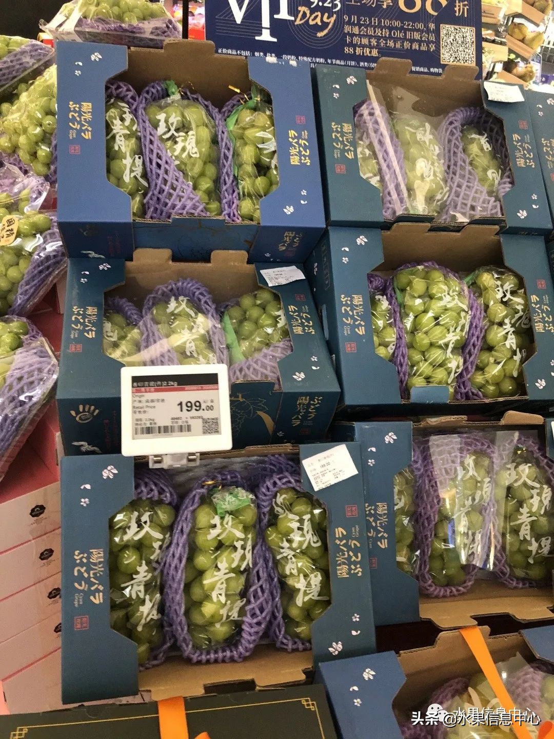 中秋节前，走访两家水果零售店，水果标准化在这里体现的淋漓尽致