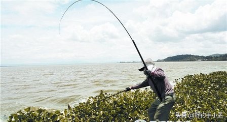 抛竿怎样精准抛投,新手抛竿你得学这三种诀窍