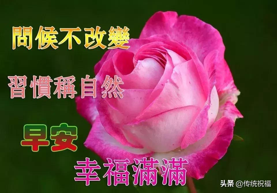 亲爱的朋友快乐一生,亲爱的朋友每天开心快乐