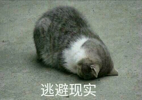 真佛系和假佛系区别,真佛系vs假佛系