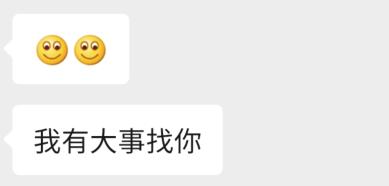 一桥飞越南北天堑变通途,飞跃数字鸿沟