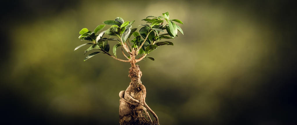 罗永浩讲述彪悍人生也需要解释,罗永浩讲述彪悍的人生也需要解释