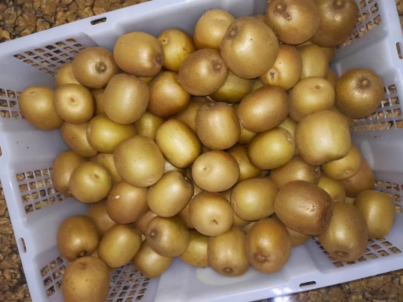 猕猴桃催熟不当会有什么后果,为什么红心猕猴桃不用催熟