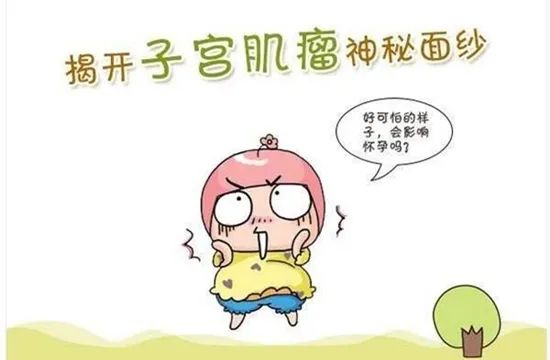 子宫肌瘤知识100条,子宫肌瘤七大误区