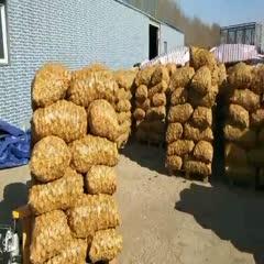 小项目赚钱,低成本创业项目小生意