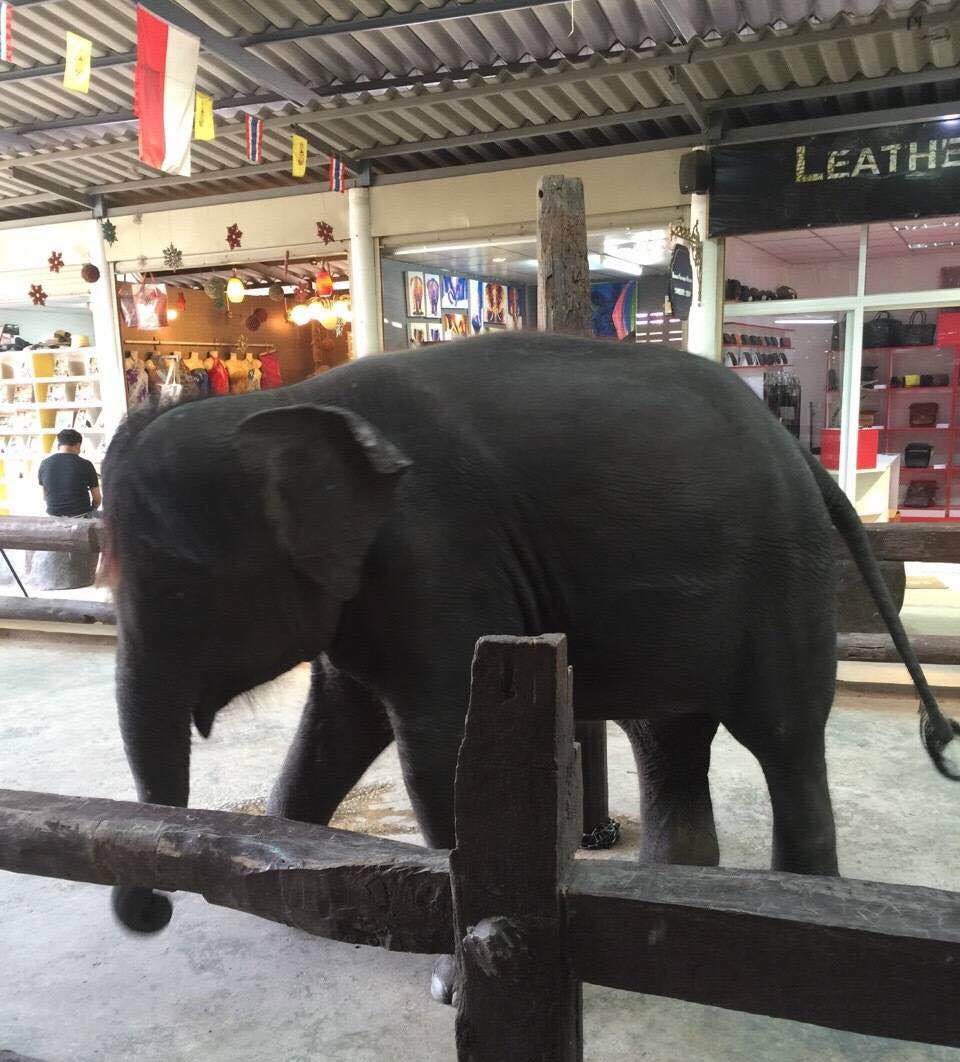 最好的时光遇见你免费观看,泰国5日经典旅游攻略