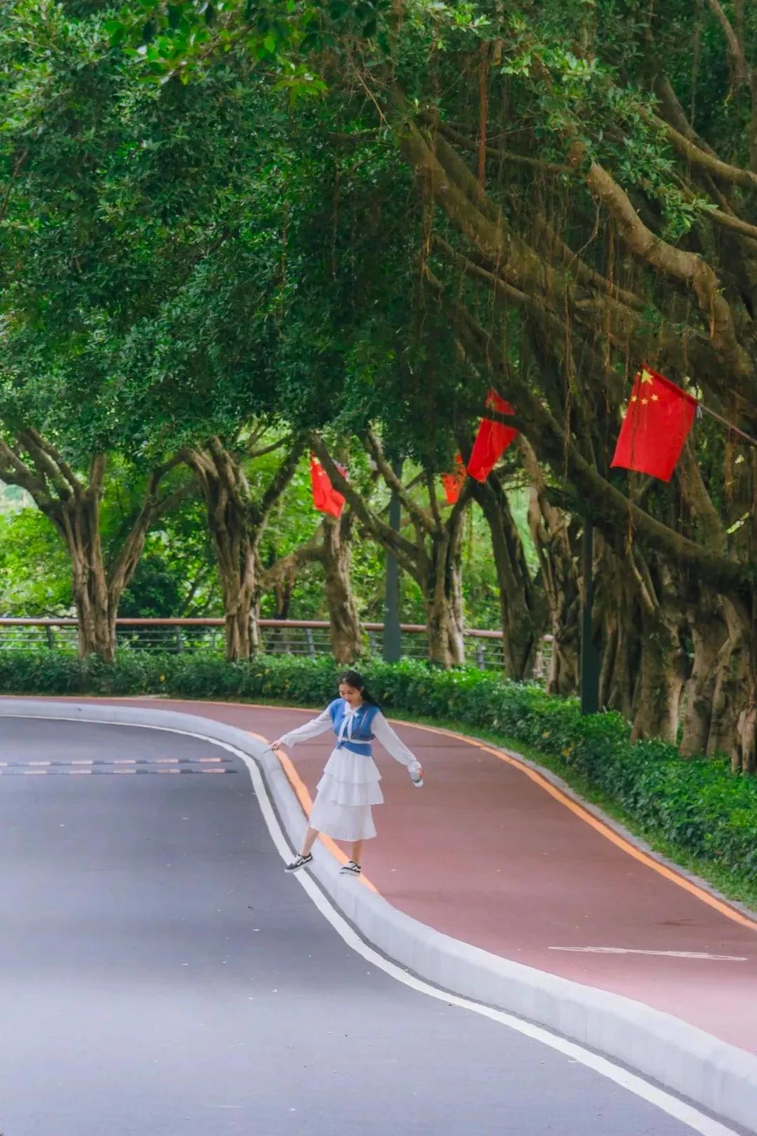 深圳这10条绿道你去过没,深圳十大绿道排行榜