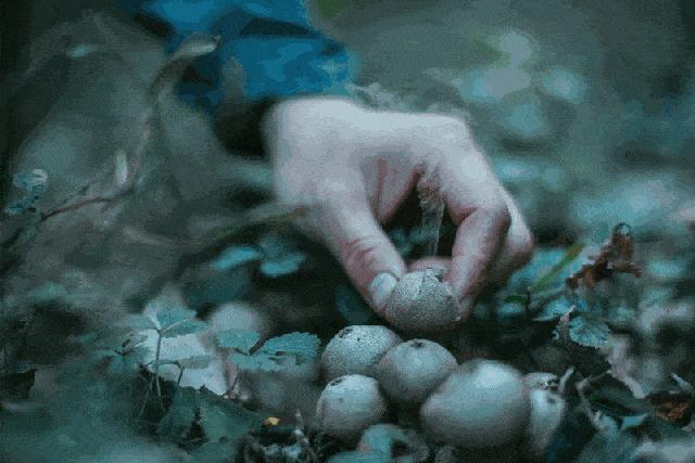 南方人家里一年四季都在发霉？这份除霉秘籍快收好