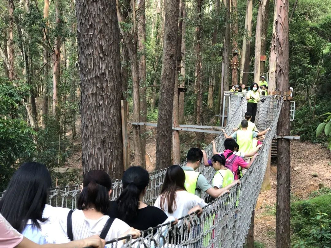 番禺周末亲子户外活动,广州儿童亲子户外活动