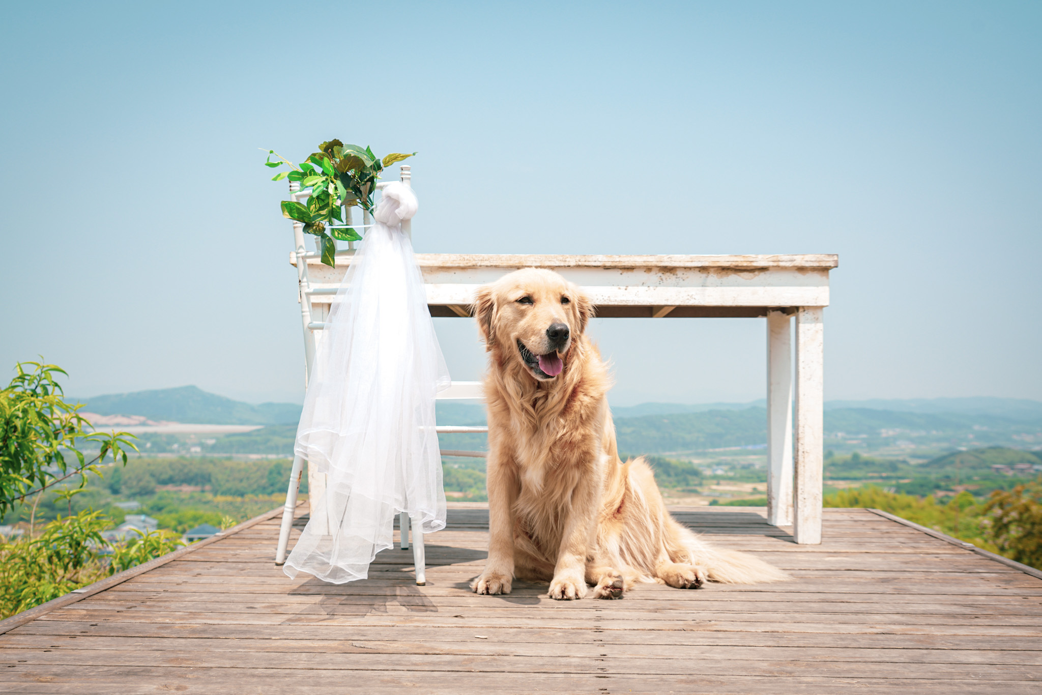 郴州仰天湖民宿多少钱一晚,郴州民宿一晚多少钱