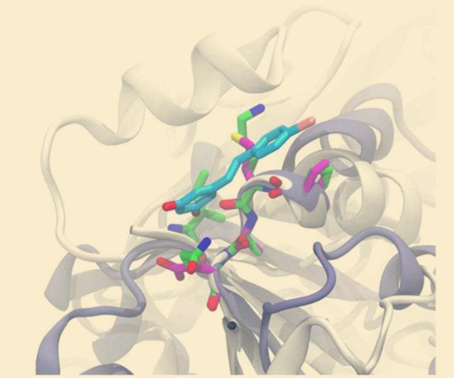 妈妈肺癌化疗失败之后，靶向治疗效果很棒！但如何解决耐药问题？