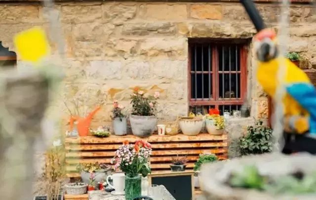 10000块能做点什么,10000块钱能做什么