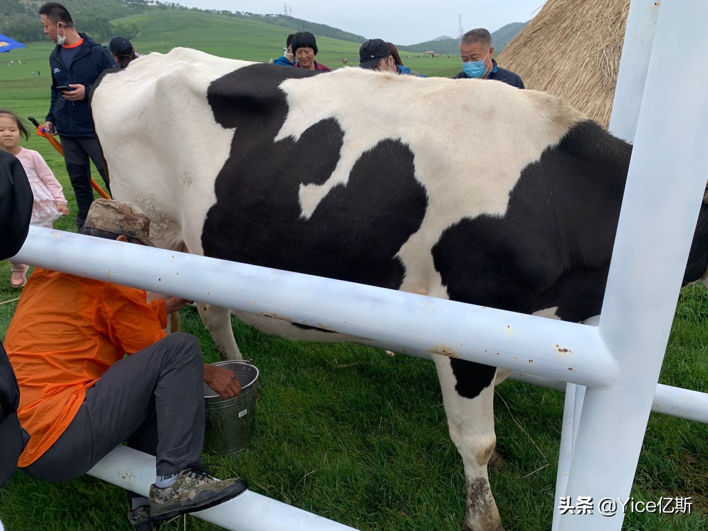 亿斯助力三寰牧场亲子活动，培养儿童饮水知识