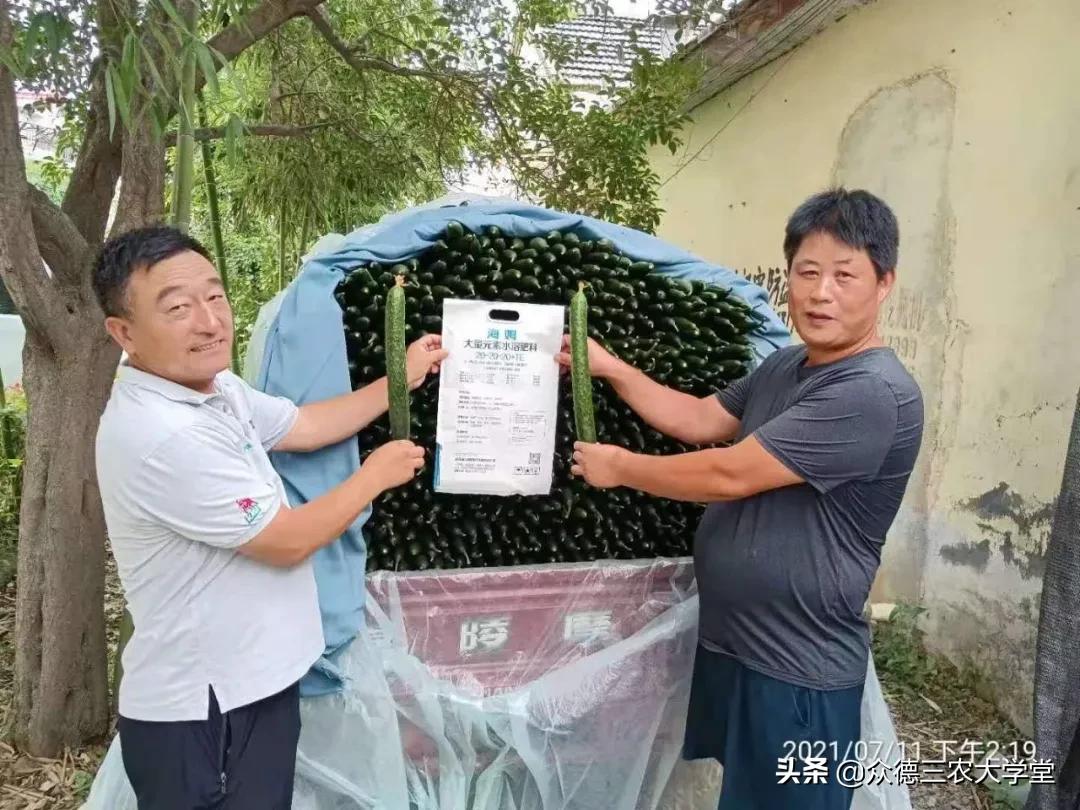 农资店微信推广,农资营销拓客引流策划方案