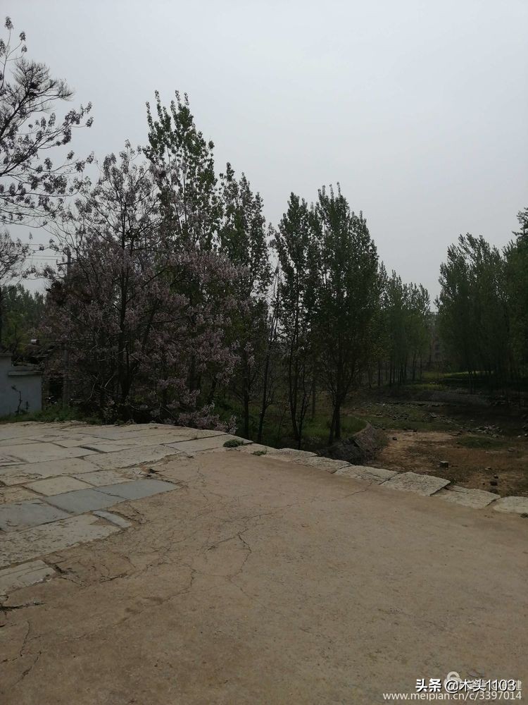 枣庄薛城邹坞镇中陈郝村,枣庄中陈郝村在哪里