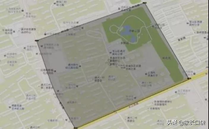 上海这块教育洼地华二、上外、世外、上大你喜欢哪个？