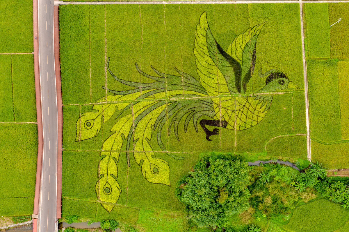 罗定历史文化名城介绍视频,广东历史名城罗定