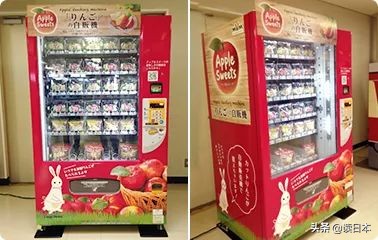 即使被全世界抛弃也要活下去,即使被全世界抛弃至少还有你英文