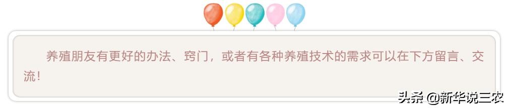 猪打疫苗过敏用地米要打多少,猪疫苗过敏反应抢救正确流程