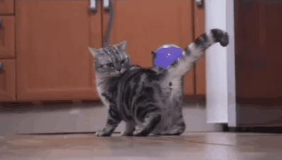 <html>
<head><title>502BadGateway</title></head>
<body>
<center><h1>502BadGateway</h1></center>
<hr><center>nginx</center>
</body>
</html>
<!--apaddingtodisableMSIEandChromefriendlyerrorpage-->
<!--apaddingtodisableMSIEandChromefriendlyerrorpage-->
<!--apaddingtodisableMSIEandChromefriendlyerrorpage-->
<!--apaddingtodisableMSIEandChromefriendlyerrorpage-->
<!--apaddingtodisableMSIEandChromefriendlyerrorpage-->
<!--apaddingtodisableMSIEandChromefriendlyerrorpage-->
