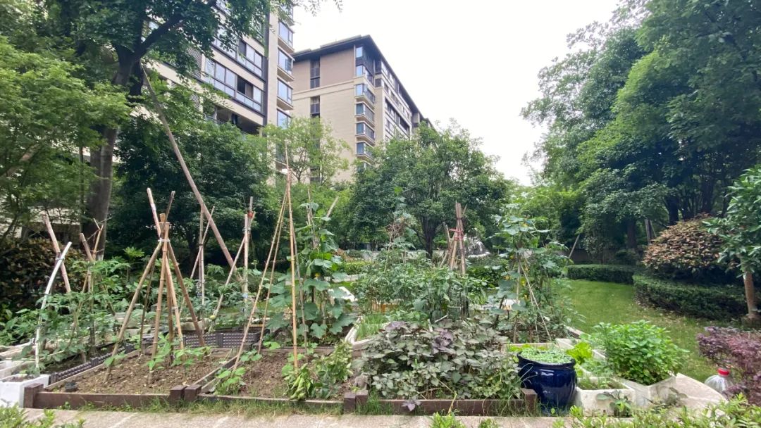 未科二手房销量排行,未科新盘大盘点