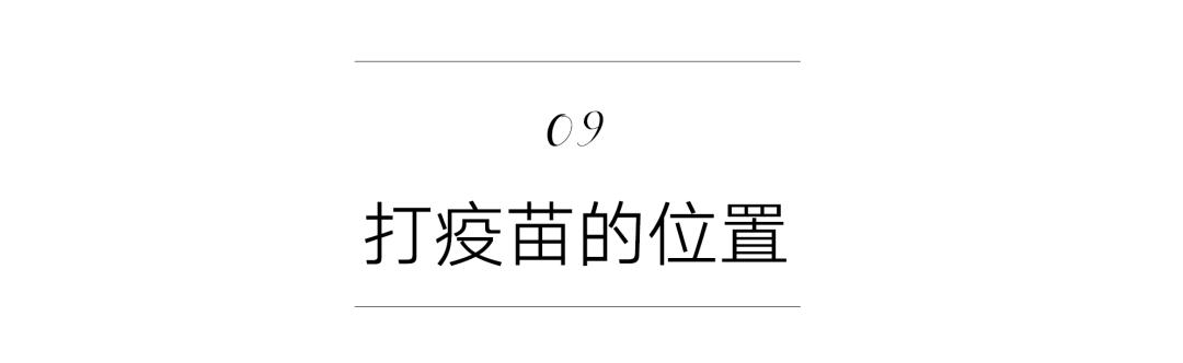 养猫咪新手入门必知疫苗怎么打,新手养猫疫苗怎么打