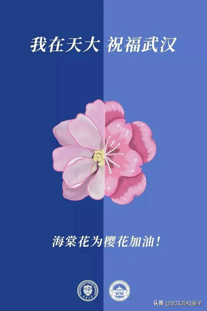 爸妈我想回家视频,爸妈我想回家了原视频