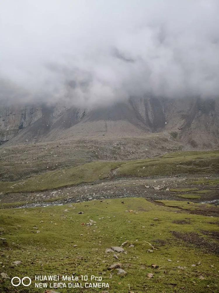 天狼之路是否值得一走,传说中的天狼