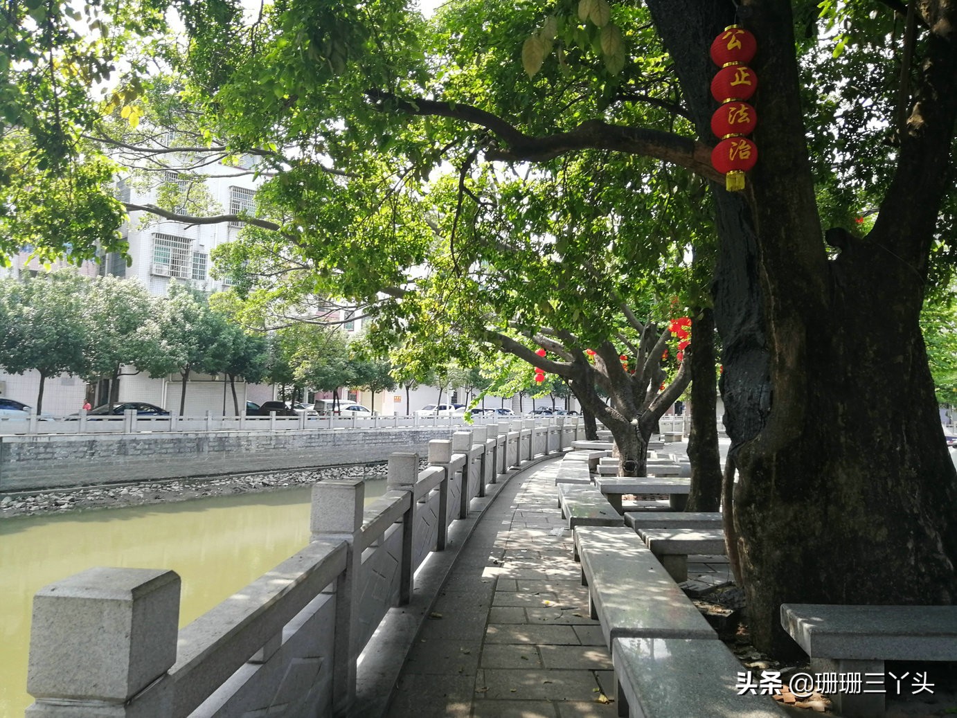 广州“最后”的鱼虾交易墟市，在城东10里外的古村内，闲置约30年