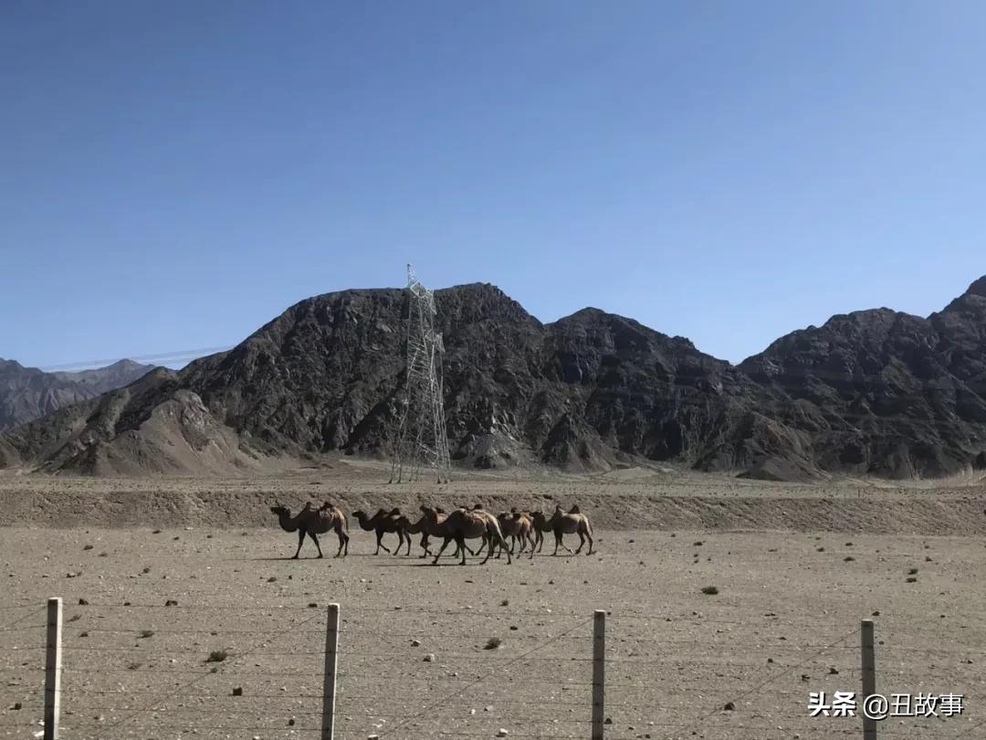 挖财李治国简历,挖财ceo李治国