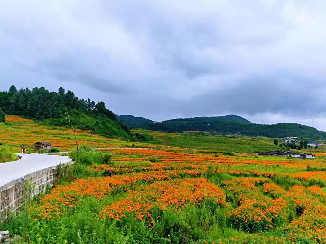 腾冲可以玩可以吃环境好的农家乐,腾冲花海美食