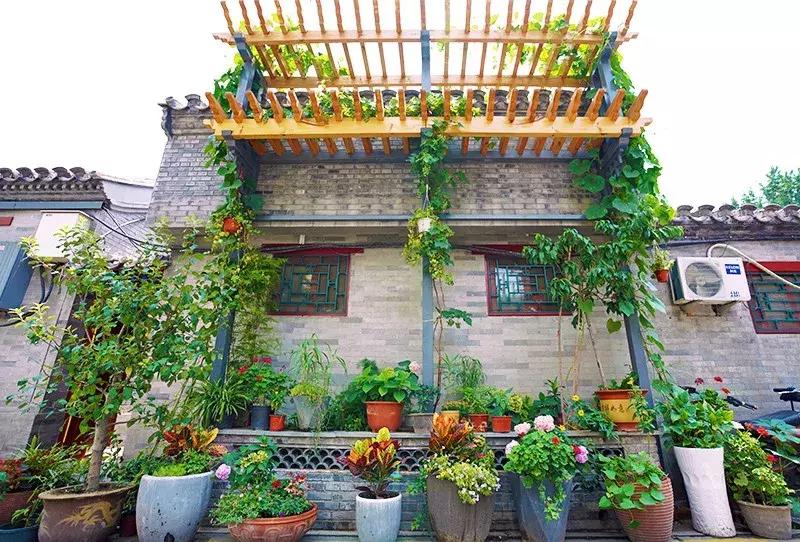 胡同里的日常生活,胡同里的北京生活