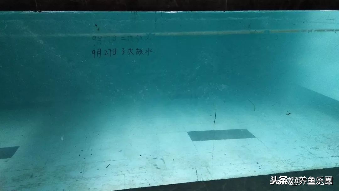 这位土豪家的渔场,光滤材就花了500多万,你确定不要见识一下?