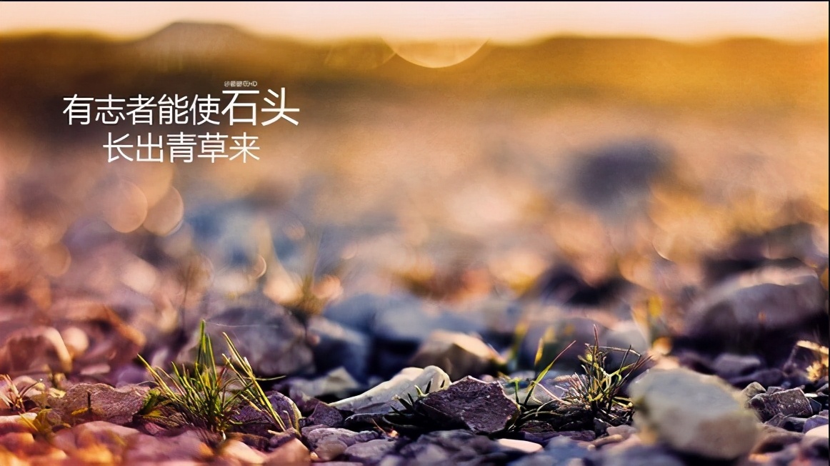 生活一半是打拼一半是享受,生活一半是打拼一半是烟火