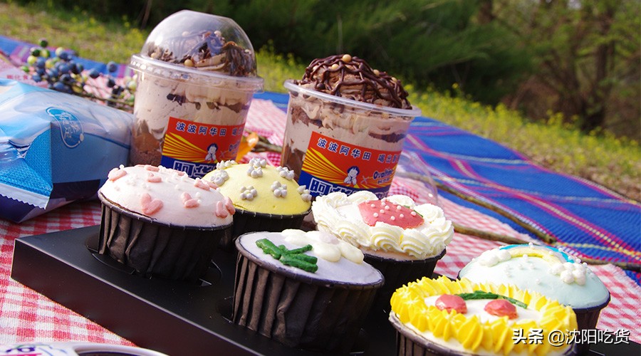 新冠大魔王还没打败，五一可别乱跑，咱就来个沈阳周边野餐郊游吧