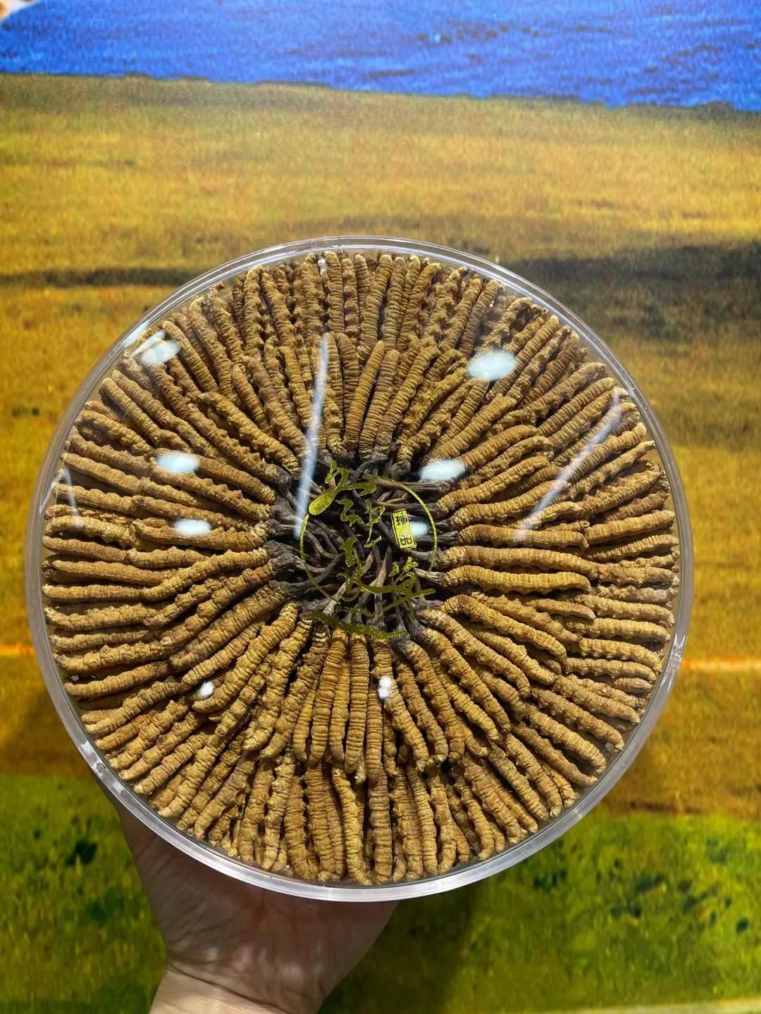 冬虫夏草鸡汤做法虫草放多少,孕妇虫草炖鸡汤一般放几根