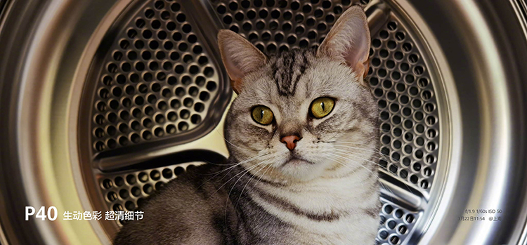 最清晰的逆光拍照手机,比较适合拍照摄影的手机