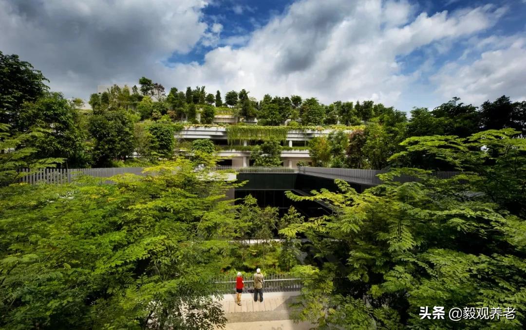 新加坡养老服务专业,新加坡有好的养老社区吗