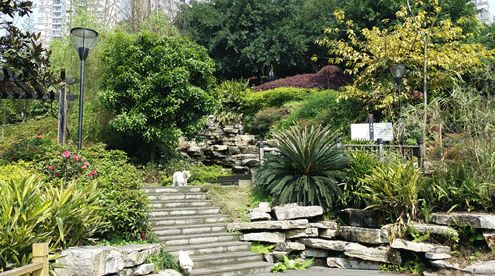 初中报考铁路学校和高中有啥区别,选择铁道学校有什么好处