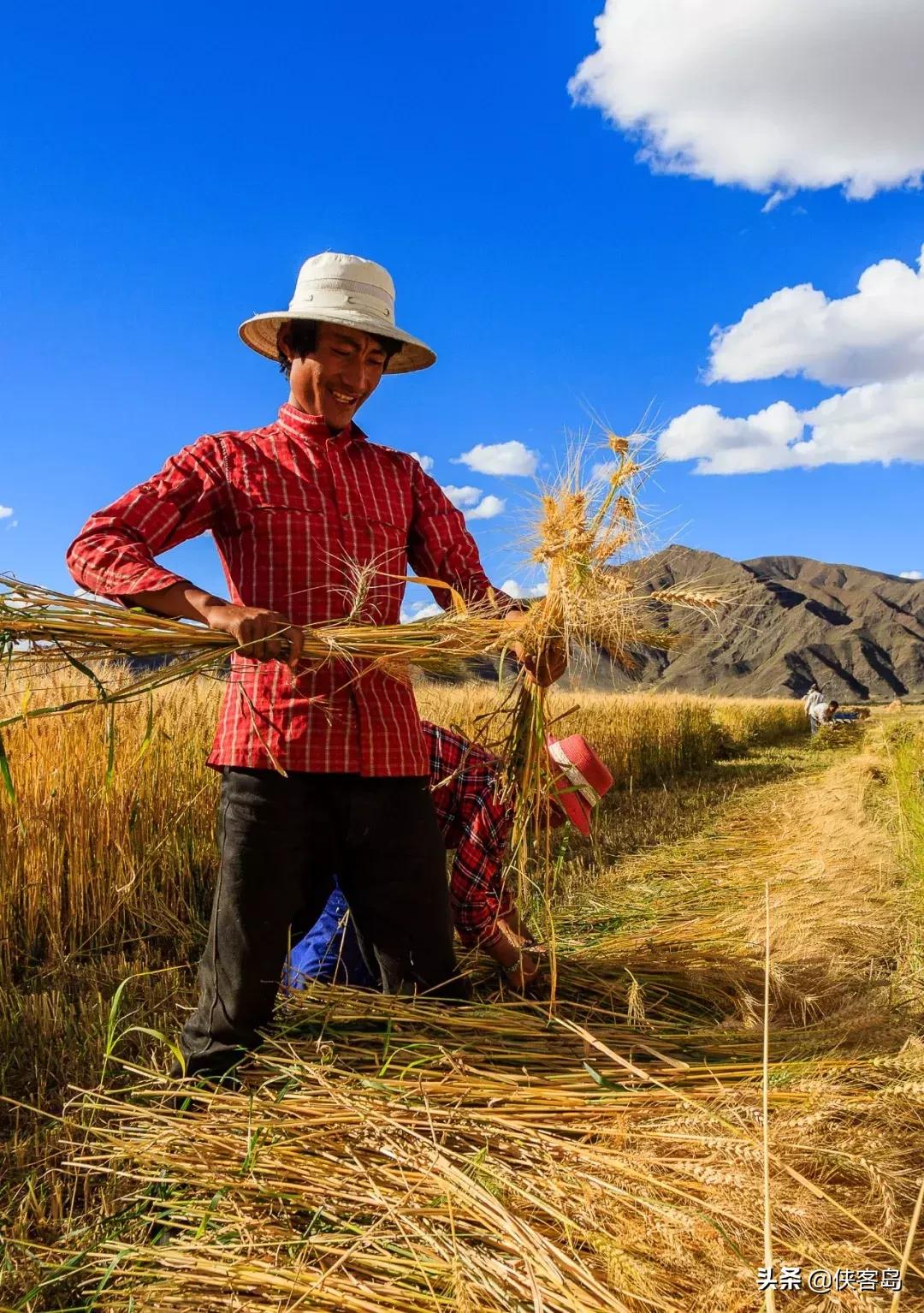 侠客岛:乡愁里的中国