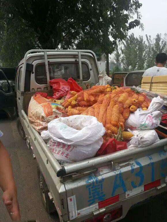 夜钓最佳上鱼时间秋季,初秋夜钓最佳上鱼时间