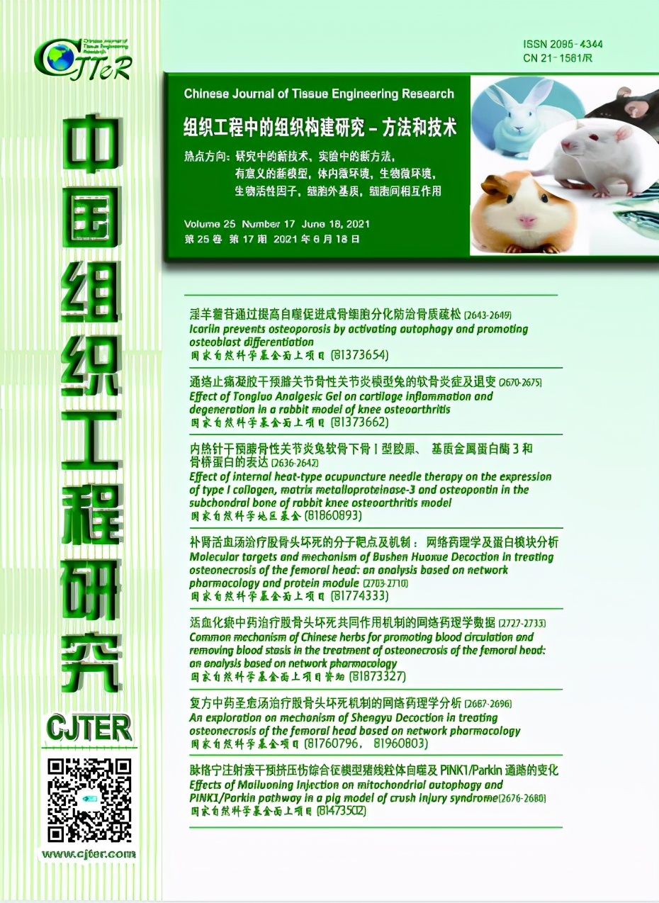 CJTER目次|2021年第17期关于组织构建研究