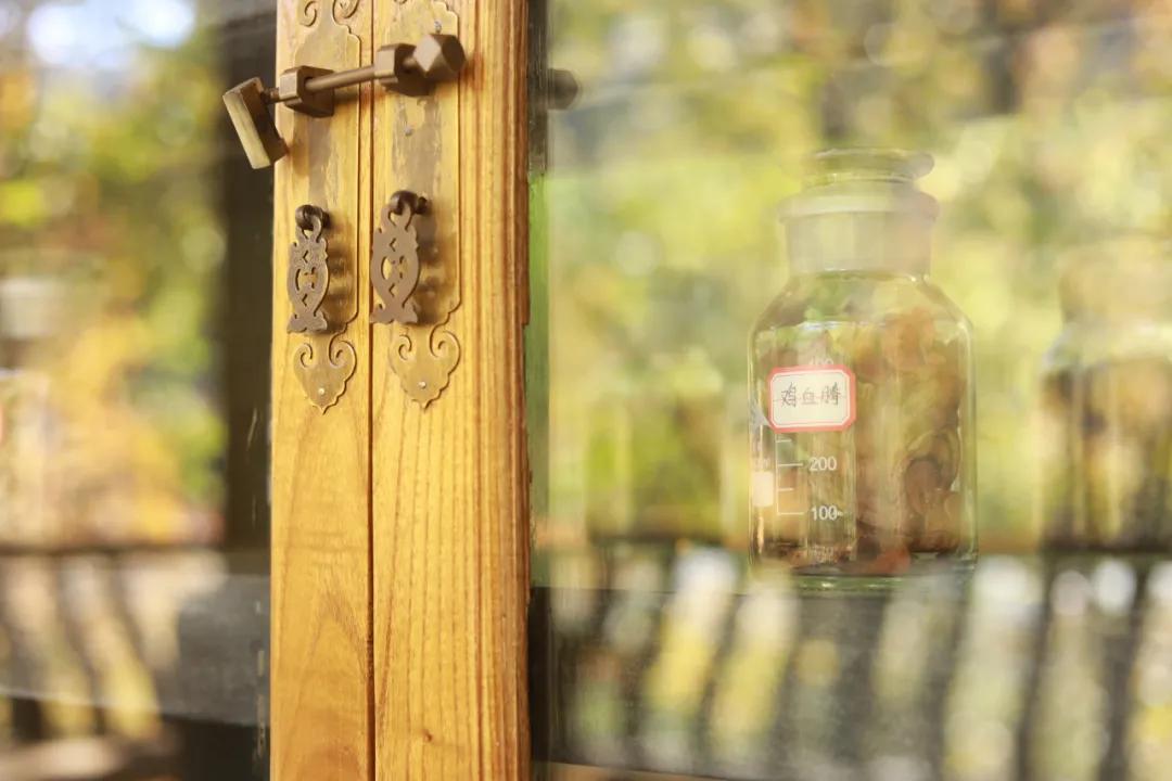 栾川湖景民宿,栾川森林氧吧民宿