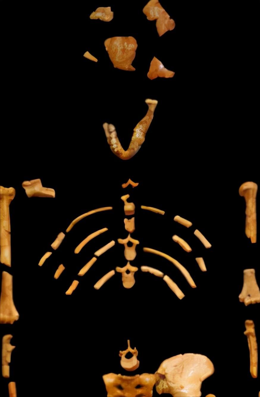 如果把地球46亿年历史压缩成1天，会发生哪些大事件？