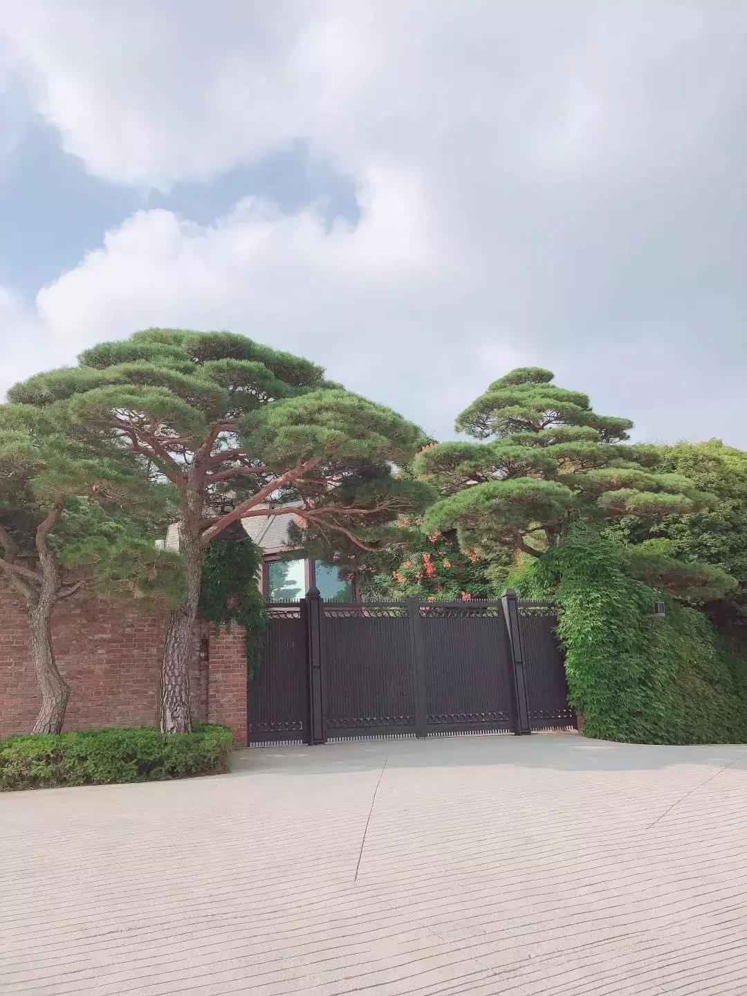 来首尔，一定要逛这些店！|首尔探店（下篇）