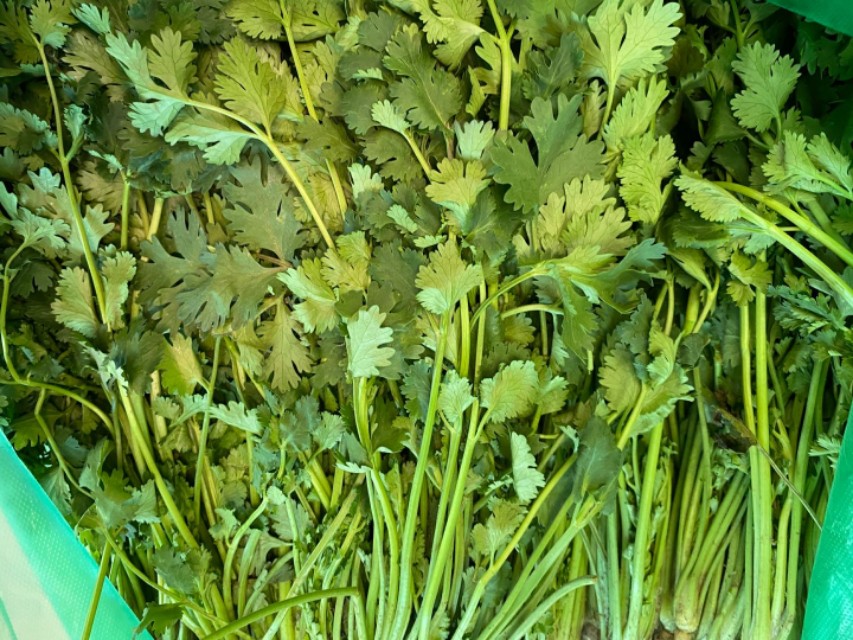 代购蔬菜免费送货,免费代购的食品