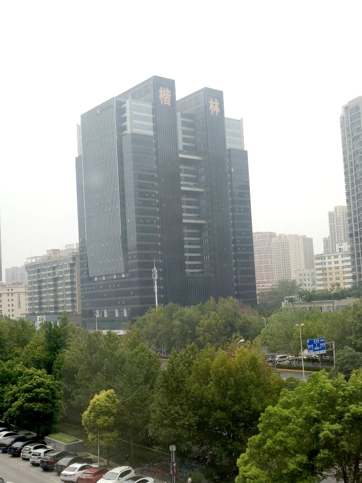 金水东区楷林房价,郑州金水区金水路楷林大厦