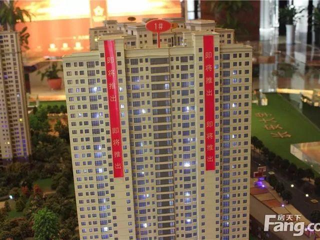 新手买房流程详细步骤,新手贷款买房流程和注意事项