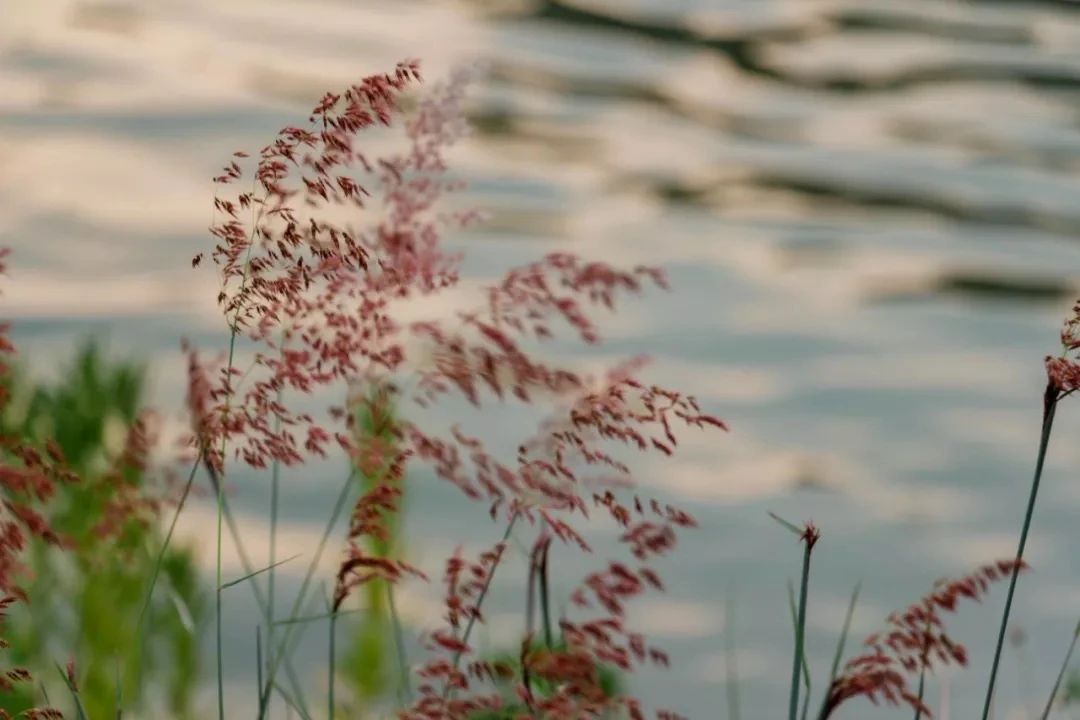 放假在深圳能去哪里玩,放假了可以去深圳的哪些地方玩